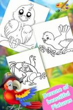 Birds Coloring Book 2018! Free Paint Game截图5