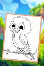 Birds Coloring Book 2018! Free Paint Game截图3