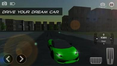 RRO Drive 3D截图3