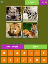 Word Quiz Game截图5