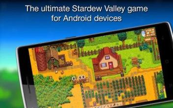 Stardew Valley Village Game截图1