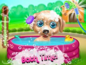 Puppy Pet salon - cute puppy daycare截图4