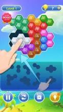 Hexa Puzzle Fever - Classic Block Puzzle截图4