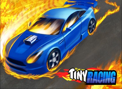 小小拉力赛 tinyRacing截图2