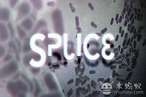 微生物拼接 Splice截图3