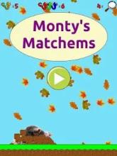 Monty's Matchems截图4