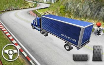 Truck Driver Simulator Real截图2