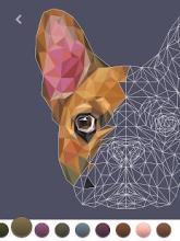 PolyGO - LowPoly Coloring book for adults截图3