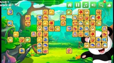 Onet Animal Panda 2018截图3