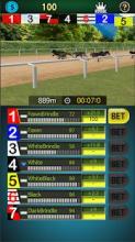 Pick Dog Racing截图5