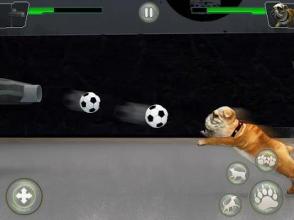 Dog Kung fu Training Simulator: Karate Dog Fighter截图2