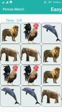 Picture Match-Brain Game截图4