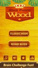 Puzzle Block Wooden Pieces截图4