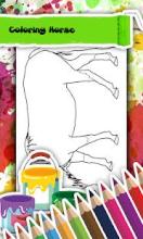 Horse Coloring Book截图1