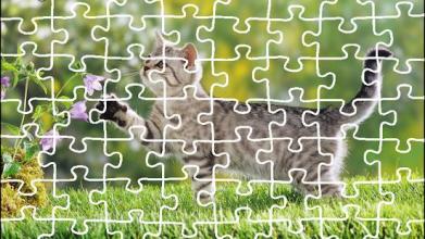 Cat Jigsaw Puzzle King截图3