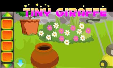 Best Escape Game 413-Escape From Tiny Giraffe Game截图4