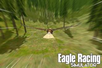 Eagle Racing Simulator: Birds Race Game截图5