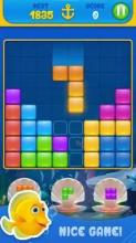 Ocean Block Puzzle截图4