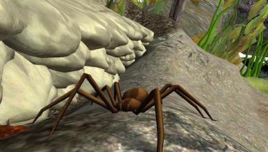 Spider Nest Simulator - insect and 3d animal game截图2