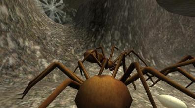 Spider Nest Simulator - insect and 3d animal game截图4