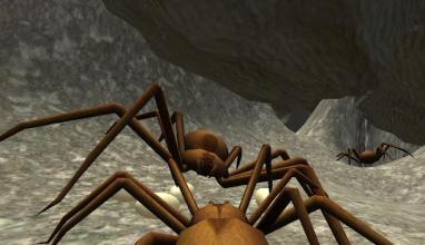 Spider Nest Simulator - insect and 3d animal game截图1