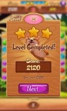 The Wizard Of Corgi - Match 3 Puzzle截图4