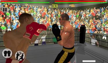 Real 3D Boxing Punch截图1