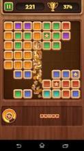 Block Puzzle Star截图1