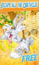 bunny bugs escape: Loney tuns adventure 2018截图5
