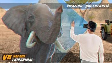 VR Safari Trip Animal截图4