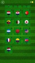 Soccer Shoot Master截图1