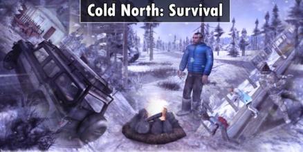 Cold North: Survival截图4