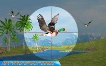 Birds Hunter Valley截图2