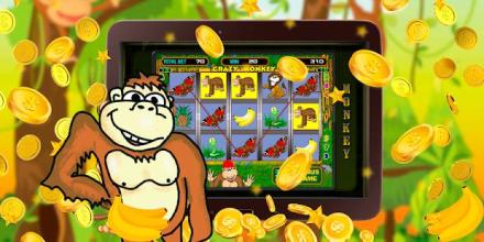 Crazy Monkey World截图4