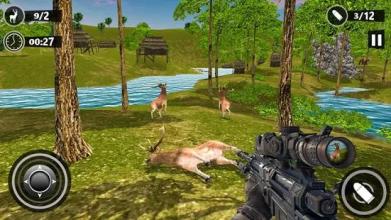 Wild Animal Hunting - Free Shooting Games截图5