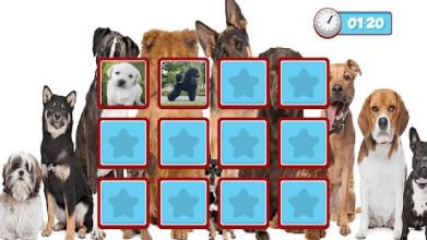 Dogs Memory Game 2018截图5