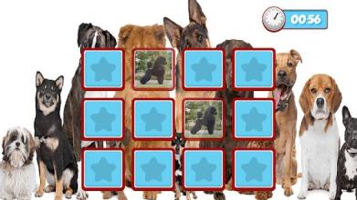 Dogs Memory Game 2018截图4