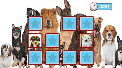 Dogs Memory Game 2018截图2