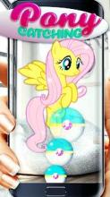 Catch pony and unicorn!截图1