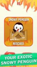 Penguin Quest Box: Pet Survival cube截图5