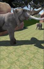 Safari park VR - Animals VR 3D截图3