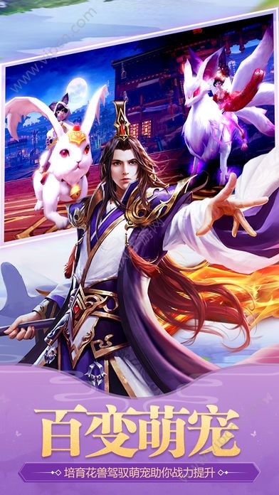 王者风云截图4