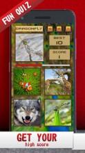 Fun Learn Animals截图1