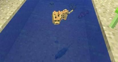 Water World Fish Mod for MCPE截图3