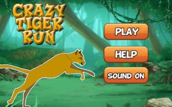 Crazy Tiger Run截图3