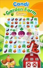 Candi Garden Farm Game截图4