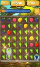 Fruit Blast Journey: Match 3 PUZZLE截图5