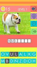 DOG QUIZ - DOG BREEDS截图3