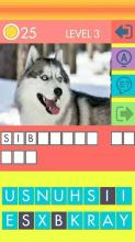 DOG QUIZ - DOG BREEDS截图1