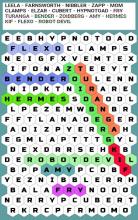 Hex Word Search截图1